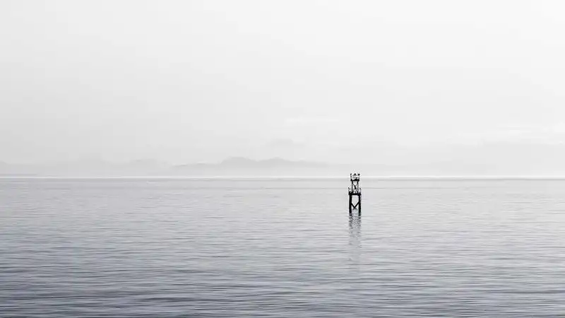 Anthropic抢先OpenAI秘密递交IPO：估值9650亿美元冲击万亿美元